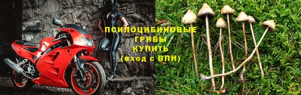 соль курить ск Алексин