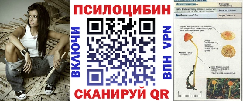 blacksprut tor  Шимановск  Псилоцибиновые грибы прущие грибы 